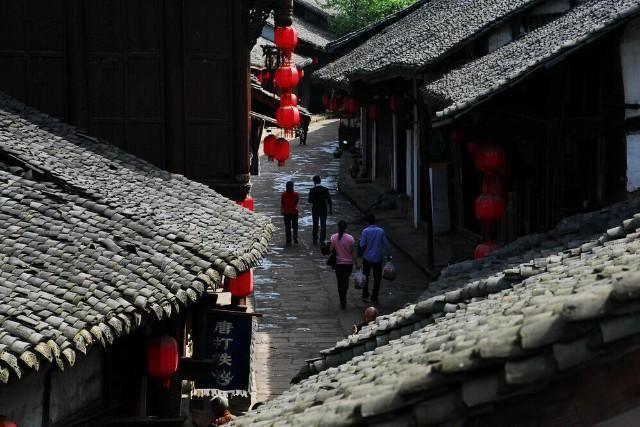 救援受困的鹭